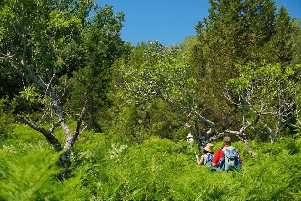 Shkolla Hostel & Camping Vuno