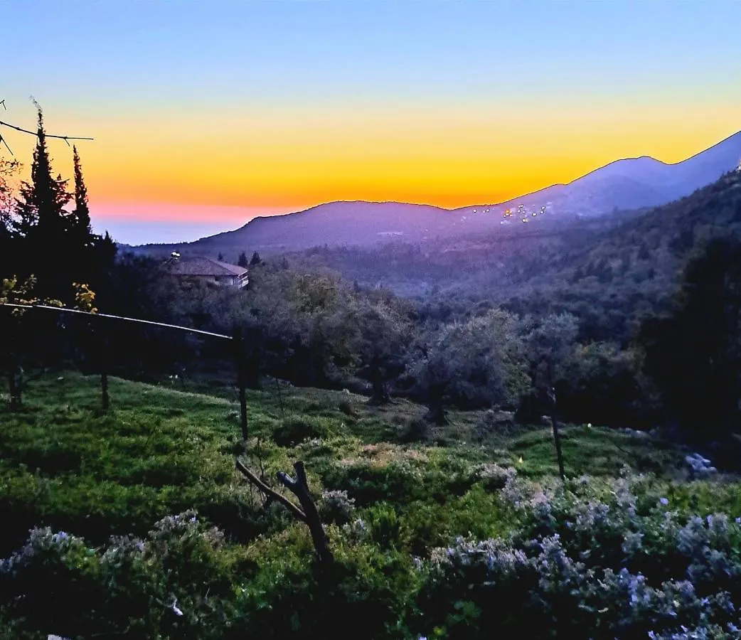 Shkolla Hostel & Camping Vuno