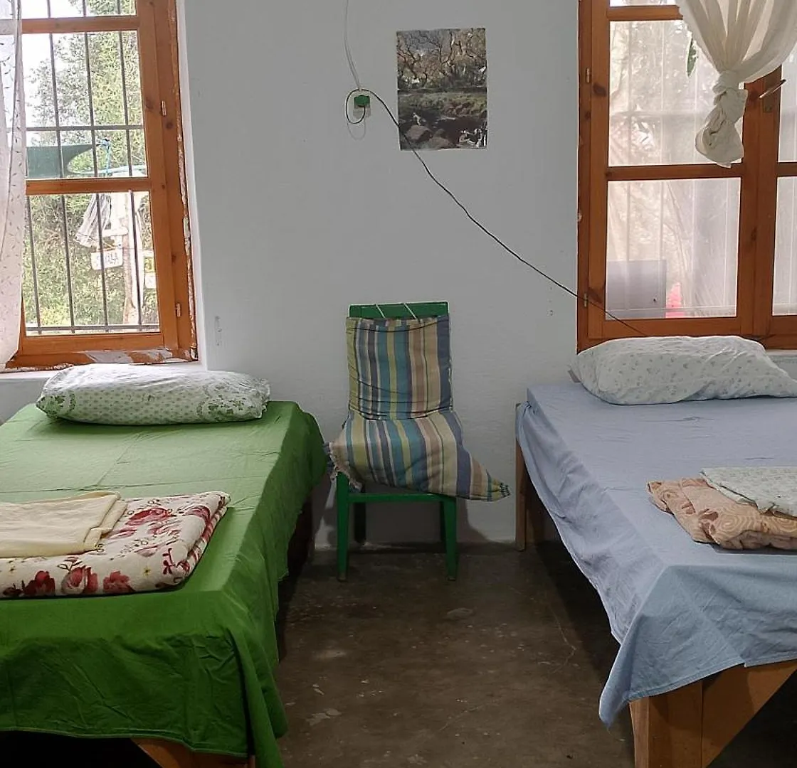 Shkolla Hostel & Camping Vuno