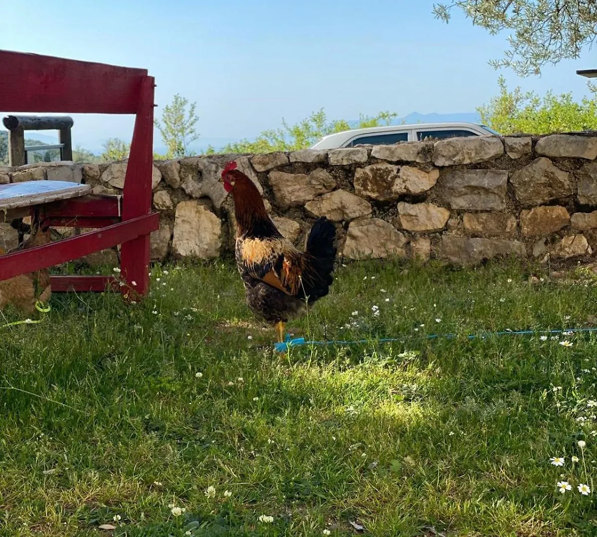 Shkolla Hostel & Camping Vuno Albania