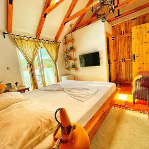 Bed and breakfast House 1960, Lini